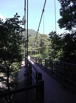 吊り橋.JPG